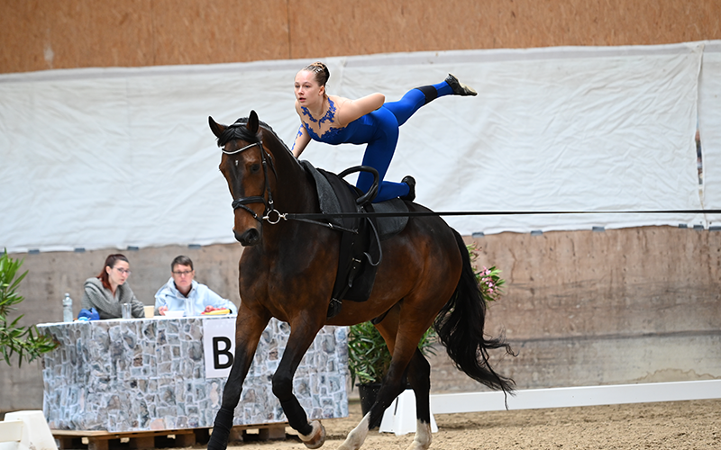Polynorm als Sponsor beim Voltigeturnier in Gossau