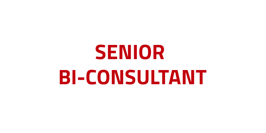 Job Senior-BI-Consultant Polynorm