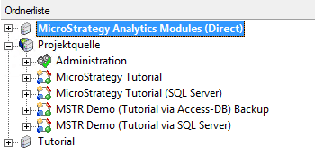 Screenshot: Projektübersicht in MicroStrategy