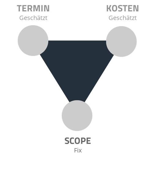 Softwareeinführung mit Wasserfall-Modell: Scope fix, Termin und Kosten geschätzt.